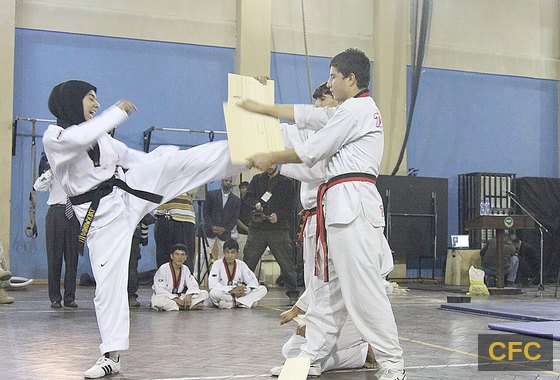 Taekwondo-Vorführung: hoher Tritt im Zweikampf