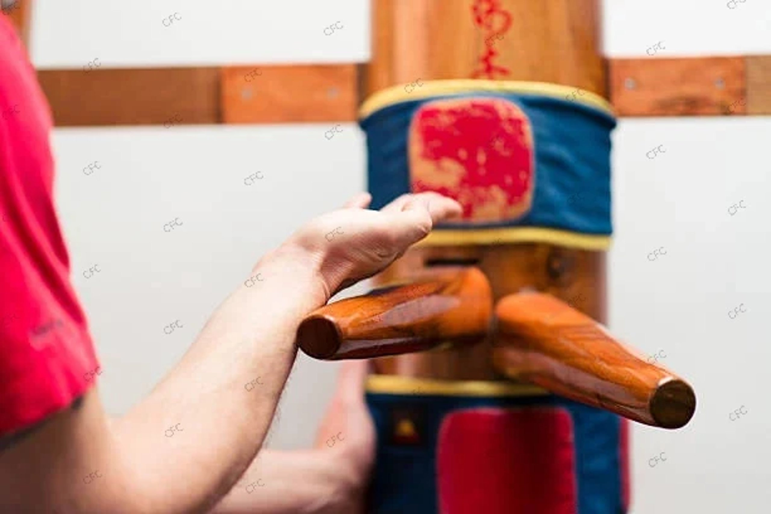 Wing Chun Villach